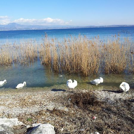Debora Maison B&B Colombare Di Sirmione Dış mekan fotoğraf
