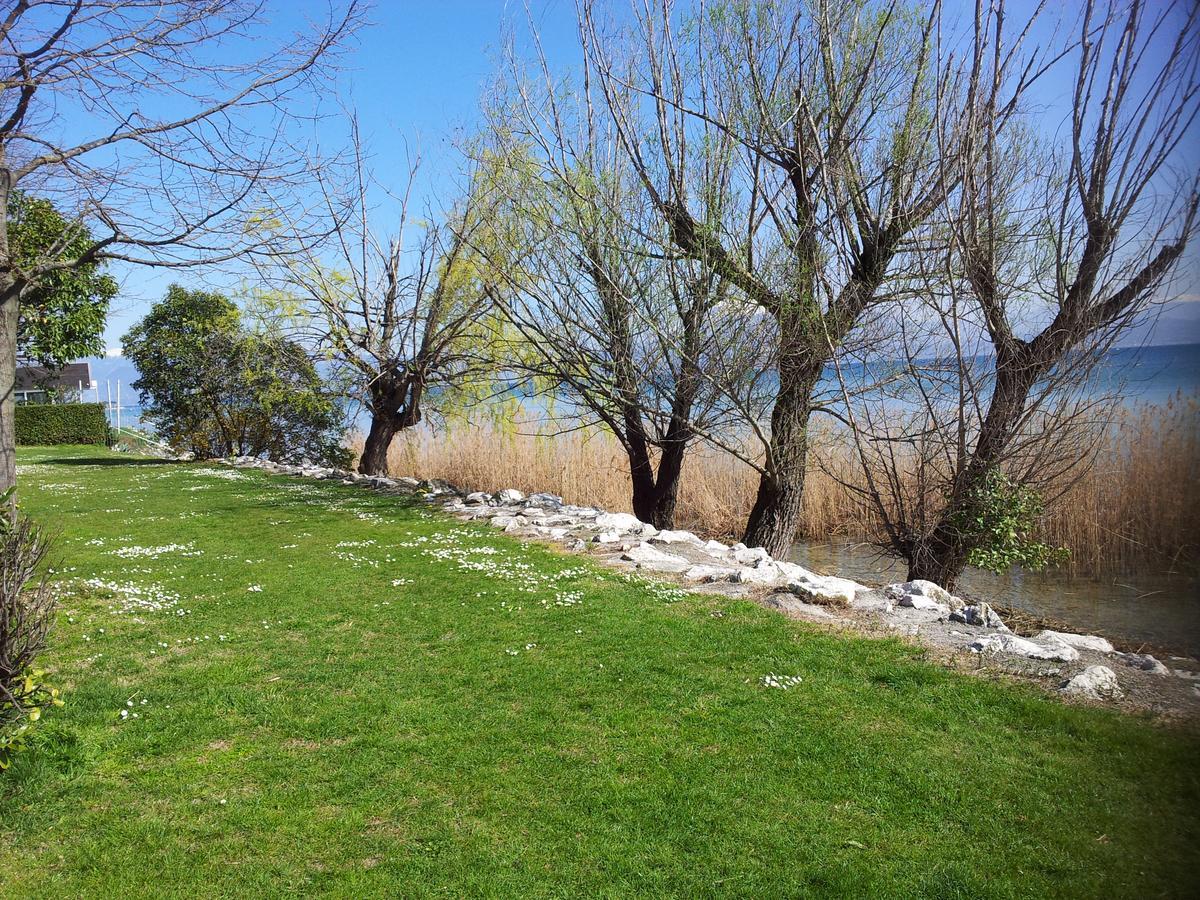 Debora Maison B&B Colombare Di Sirmione Dış mekan fotoğraf